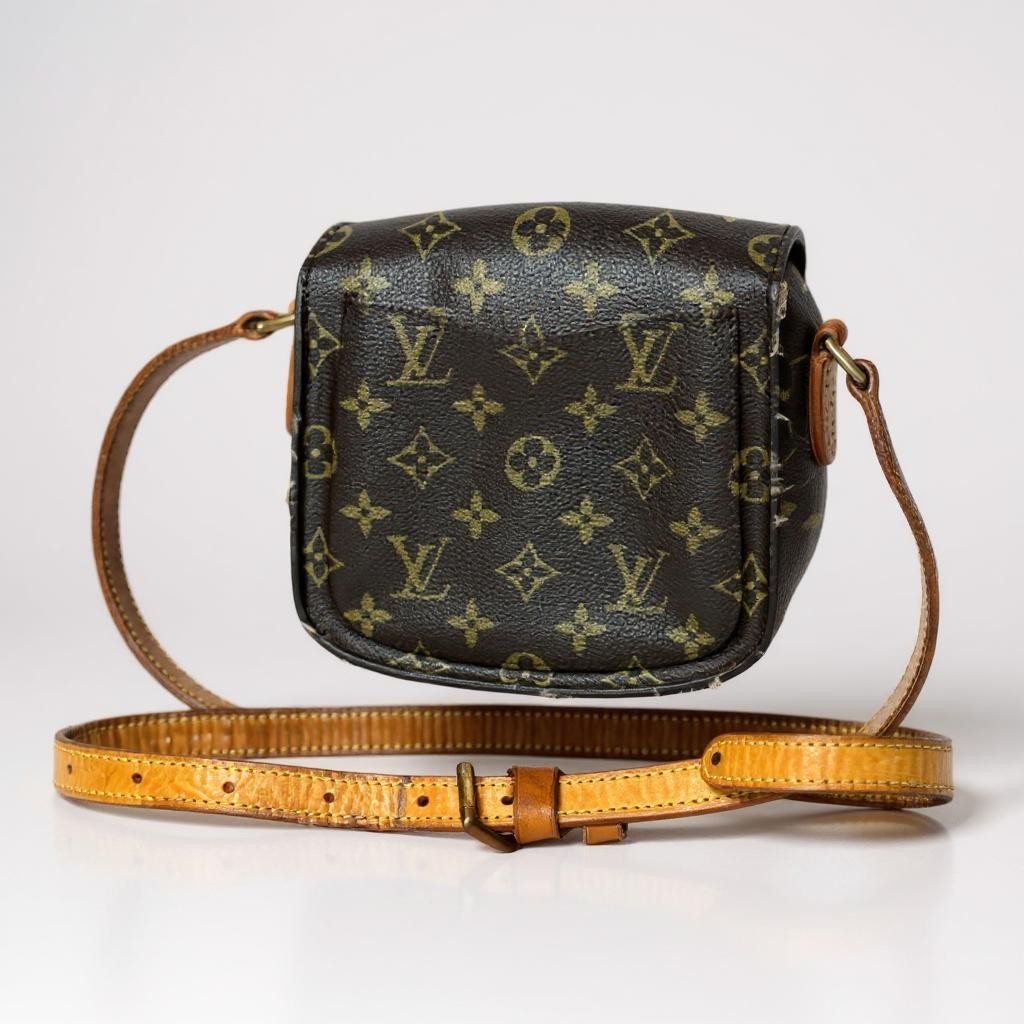 Louis Vuitton Crossbody Cloudbag