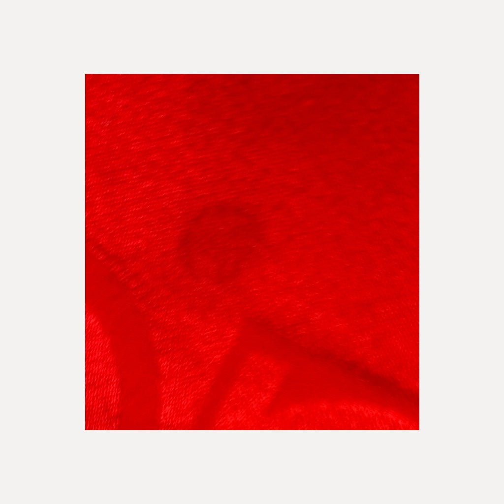 Salvatore Ferragamo Red Scarf